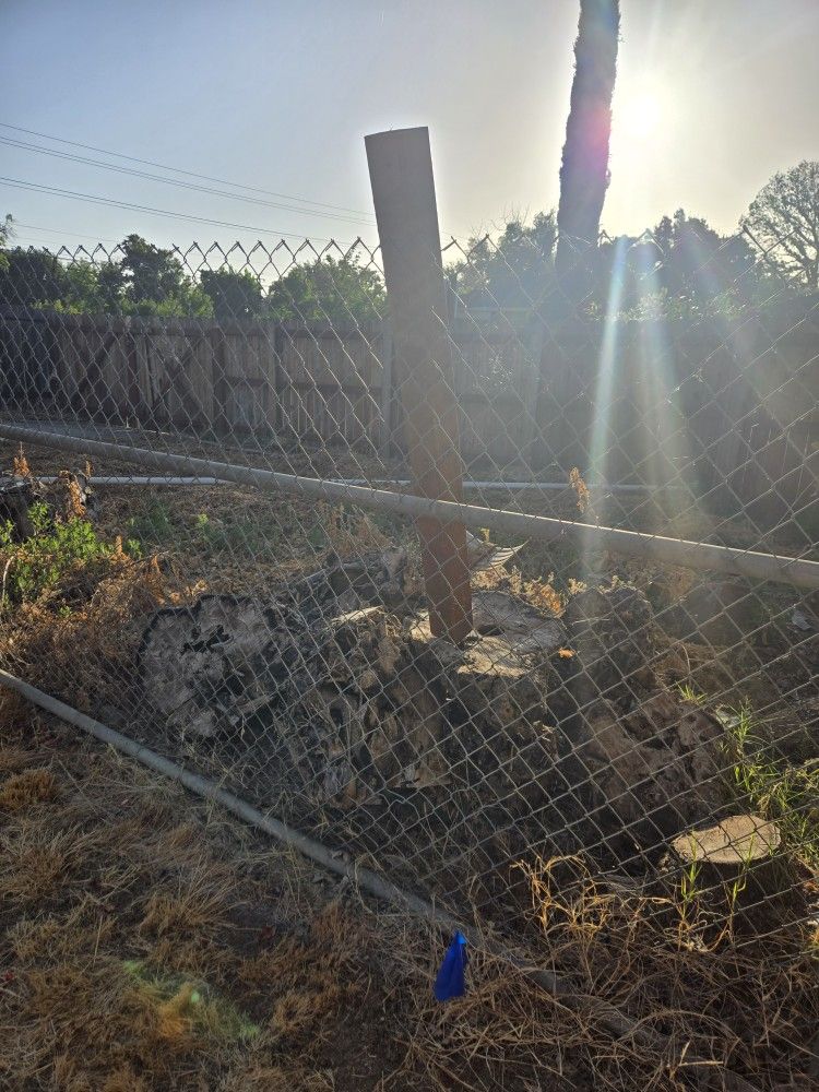 Chain Link Fence And Gate