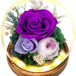 New Flowers, Roses, Gift - Forever Roses Flowers Bouquet - Fresh Flowers for Delivery to Show Love