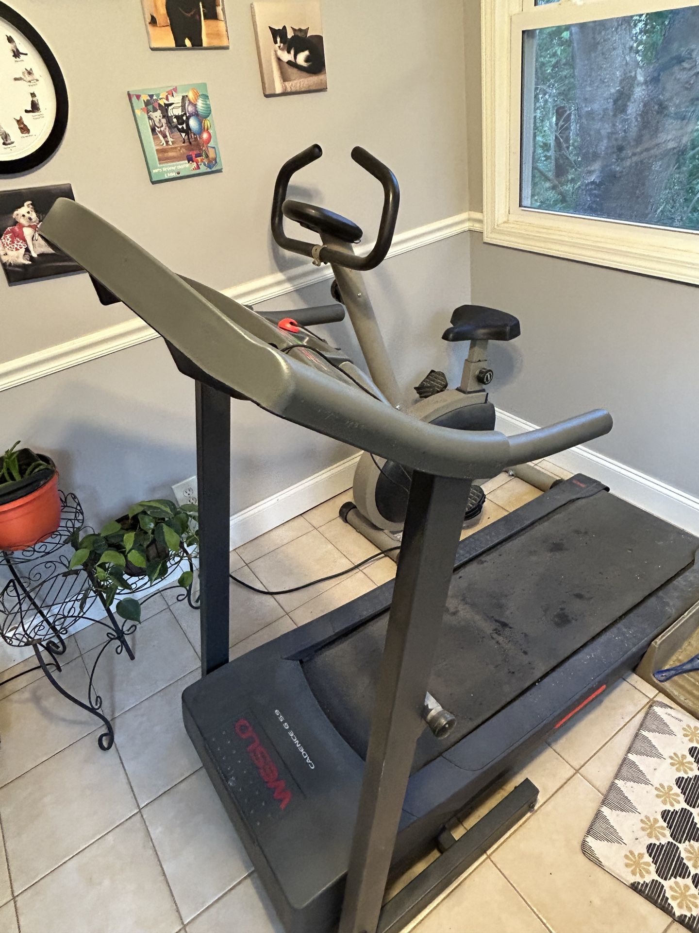 Treadmill and Work Out Bike