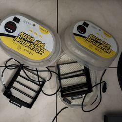 AUTO EGG INCUBATOR 