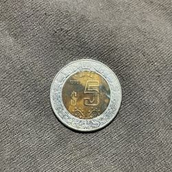 Coin Collection