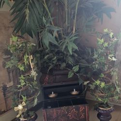 Topieries 2 Matching 2 Feet Tall 