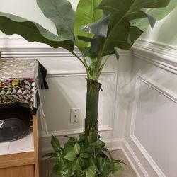 Decorative Tree 