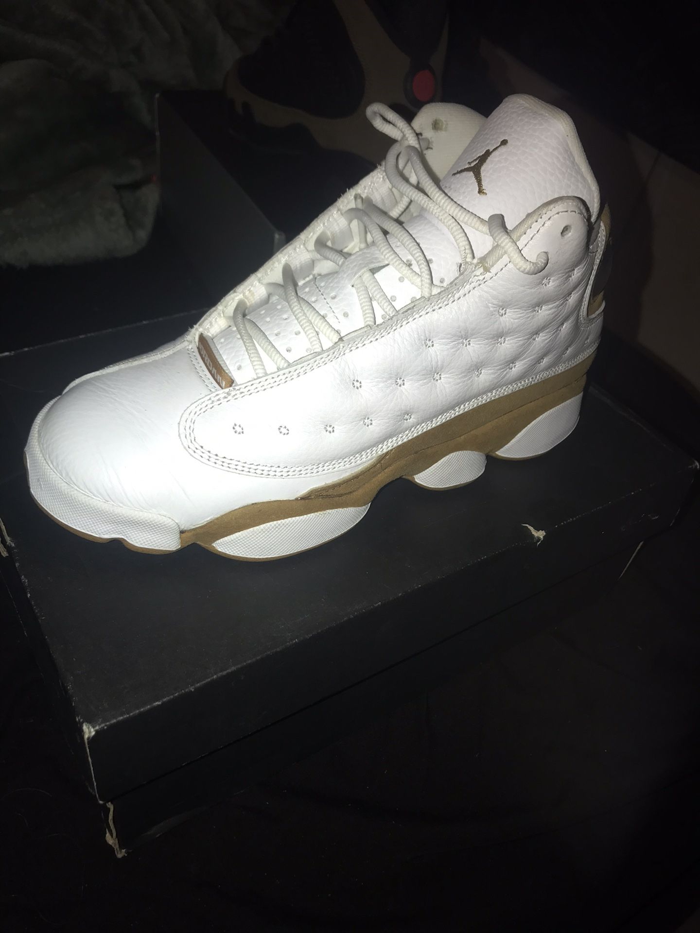 Jordan 13