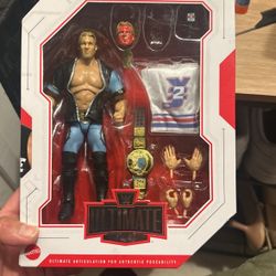 Ultimate Chris jericho Custom Figure 