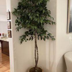 HomeGoods Fake Tree 