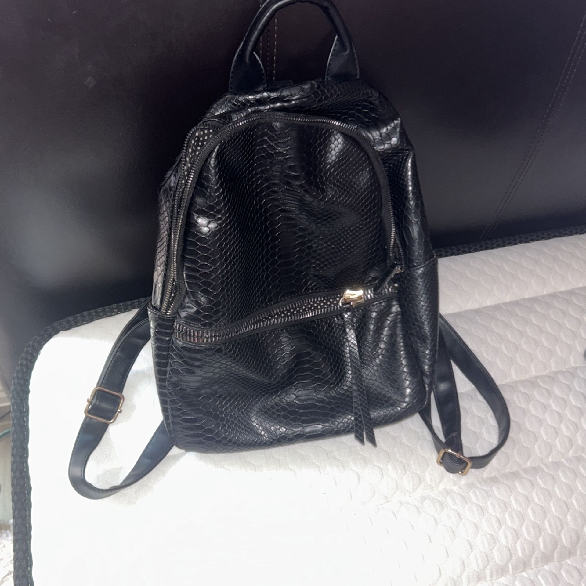 Black Back Pack