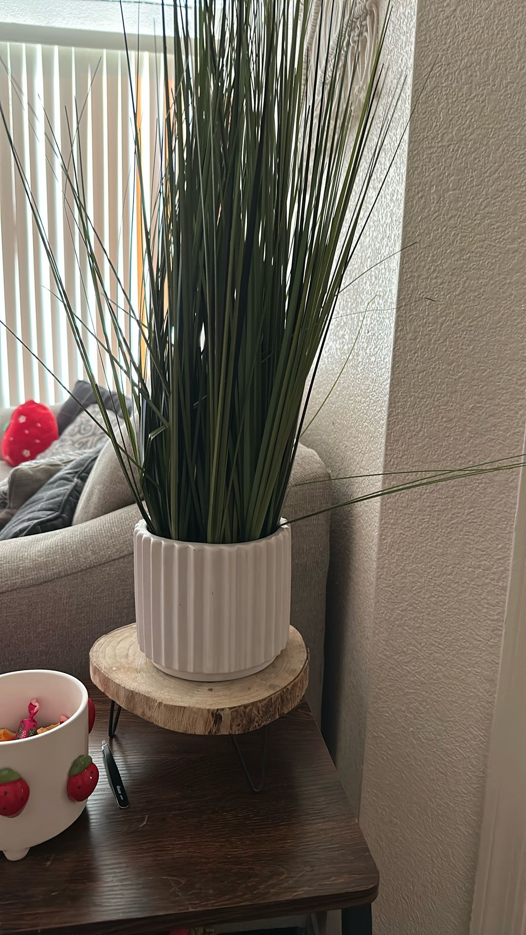 Fake Plant