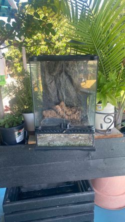 ExoTerra  18X12 Terrarium