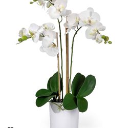 White Realistic Phalaenopsis Orchids in Pot, Artificial Potted Flowers - Beautiful Entryway Vase, Foyer Table Décor, Measures 28" Tall & 18" Diameter