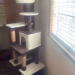  CAt Tower