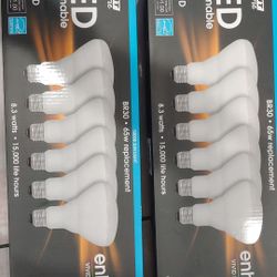 LED Dimmable Bulbs