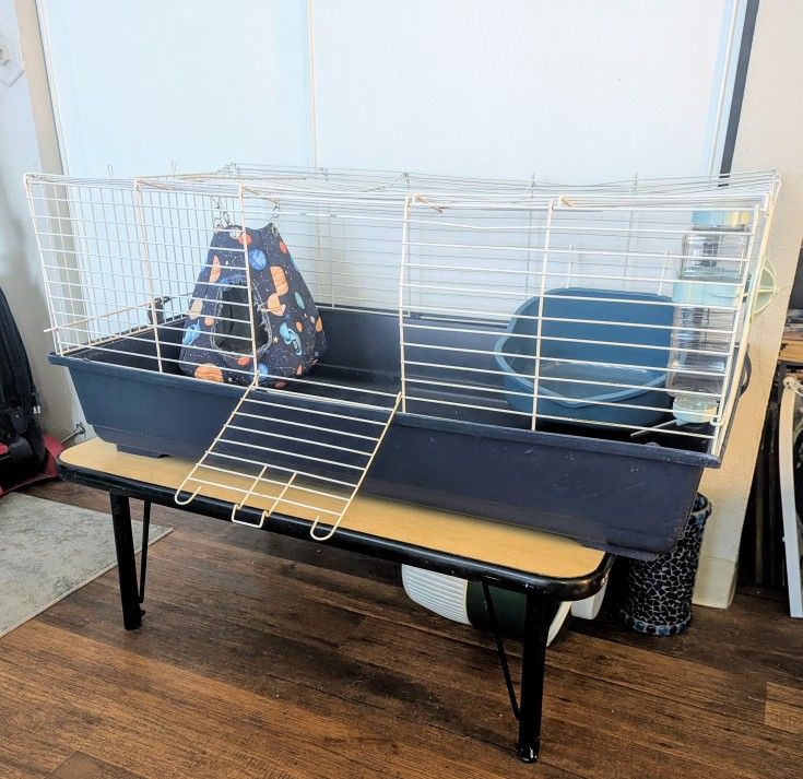 Pet Cage Large CLEAN Cage for Small Animals (with hammock, liter pan and water bottle) $175+ Value