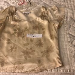 Adorable Shiny Blouse 