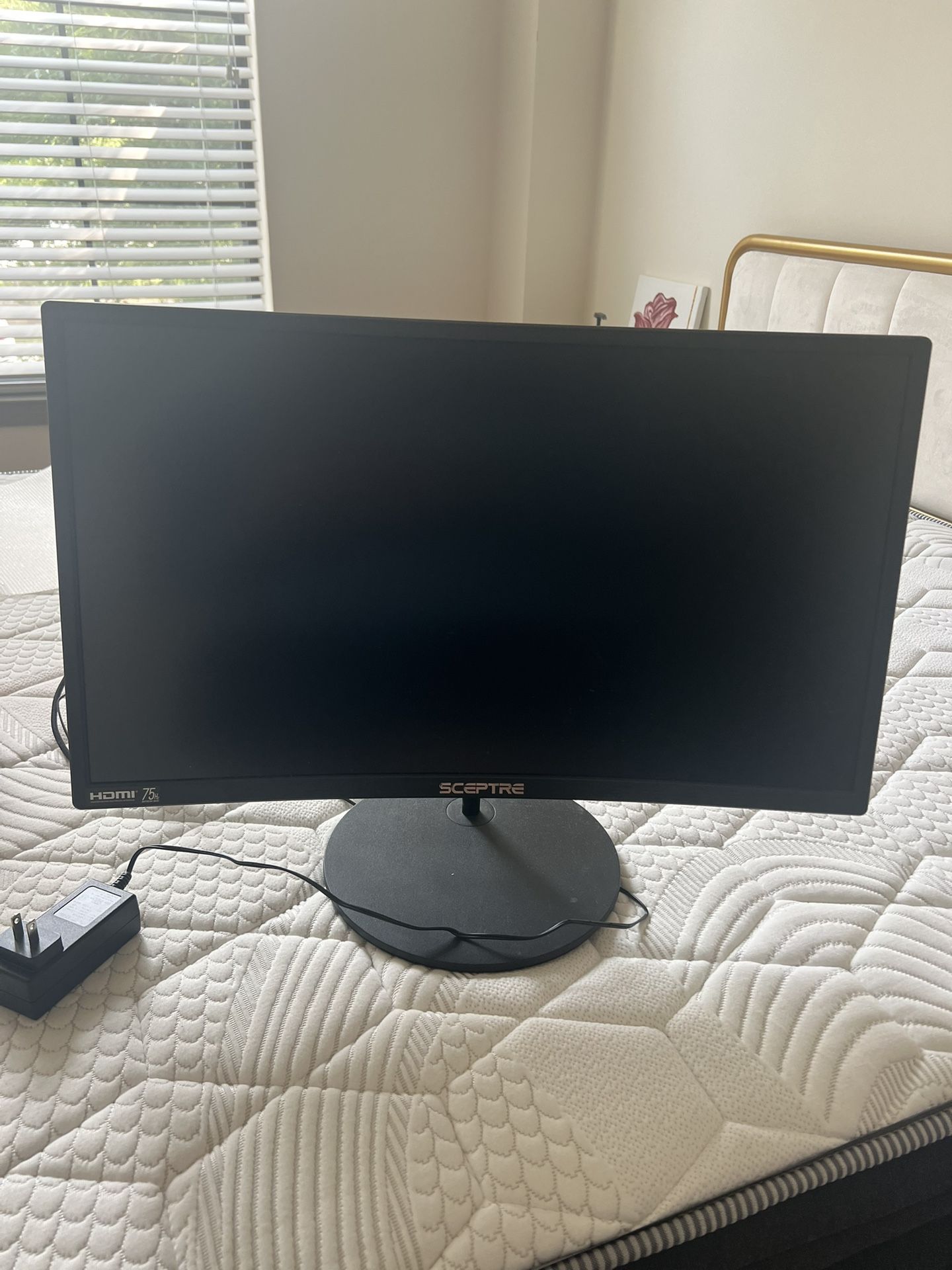 24” Black Curved Monitor