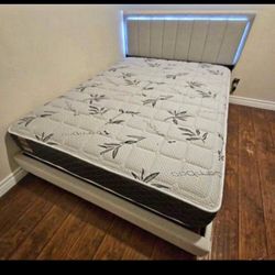 Queen     Led. Light Bed Frame  And Mattress New In Box 
