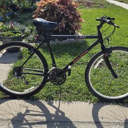 Raleigh M 30 Mountain Bike