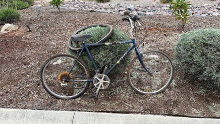 Vintage Schwinn Mesa runner bicycle