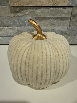 Small velvet pumpkin
