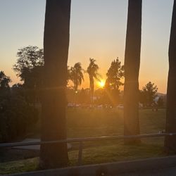 Medline Ultralight Transport Chair (15 lbs) |