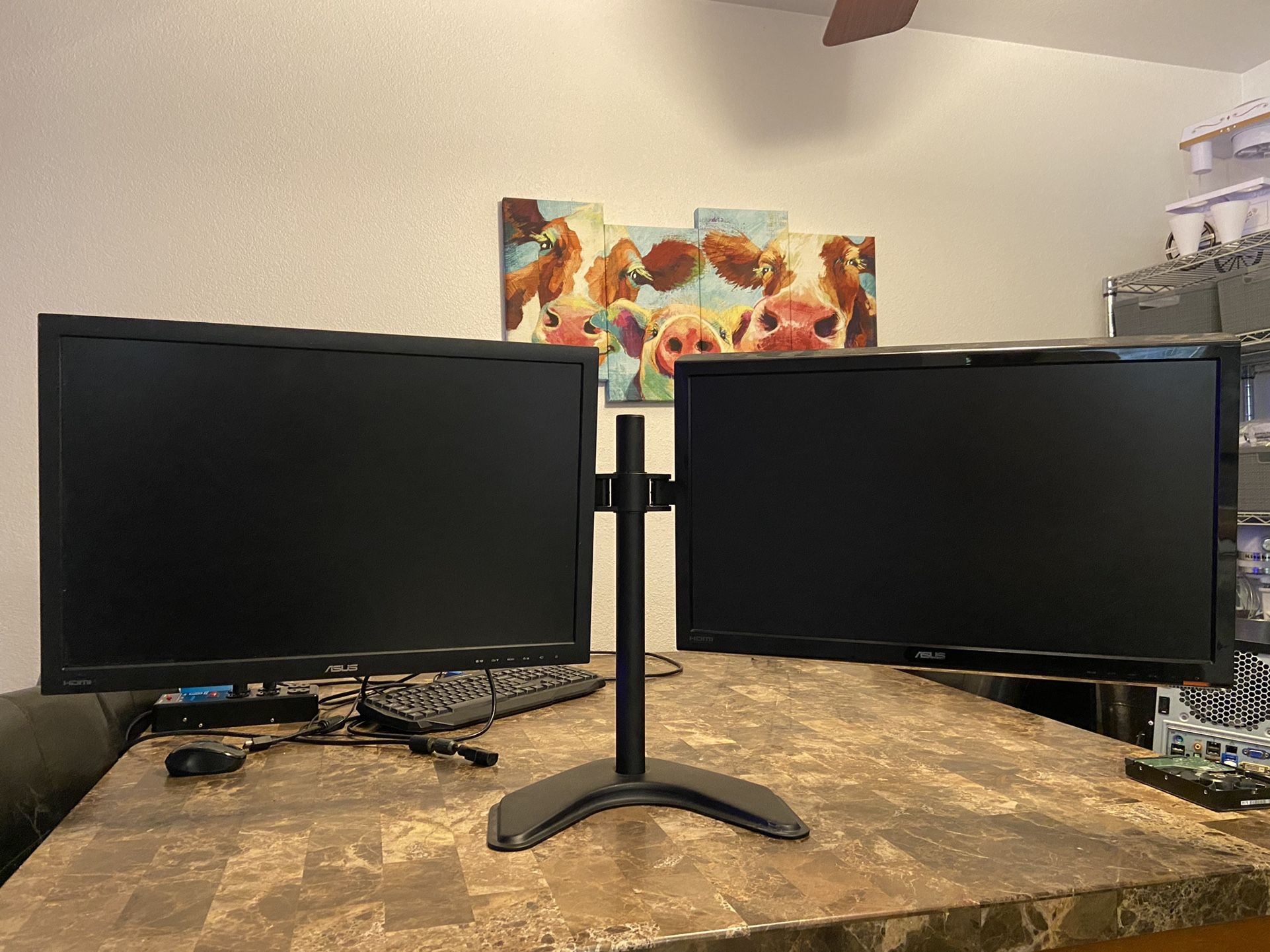 ASUS Dual Monitor setup