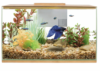 3 Gallon Bamboo Fish Tank