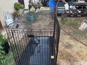 Large Black Wire Dog Crate