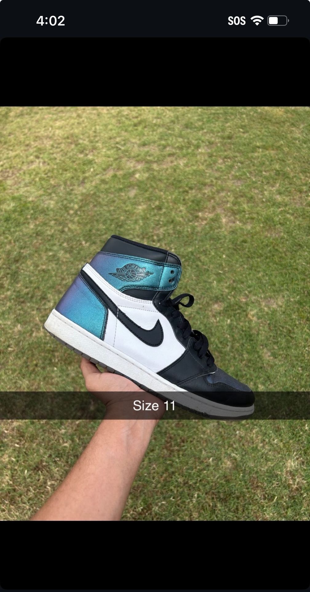 Jordan 1 Chameleon