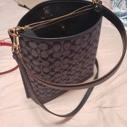 Big Coach Purse Crossbody 