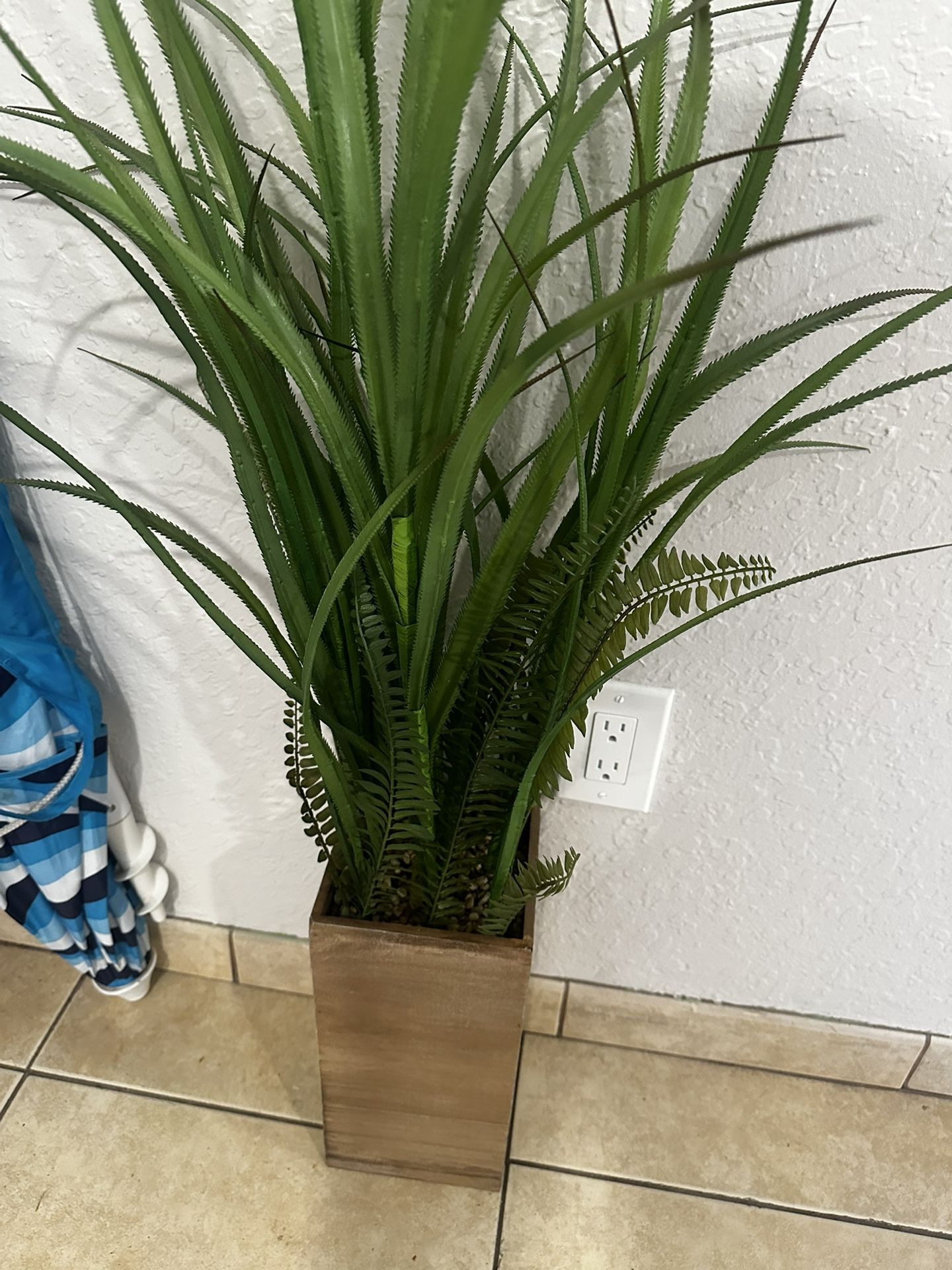 Plant