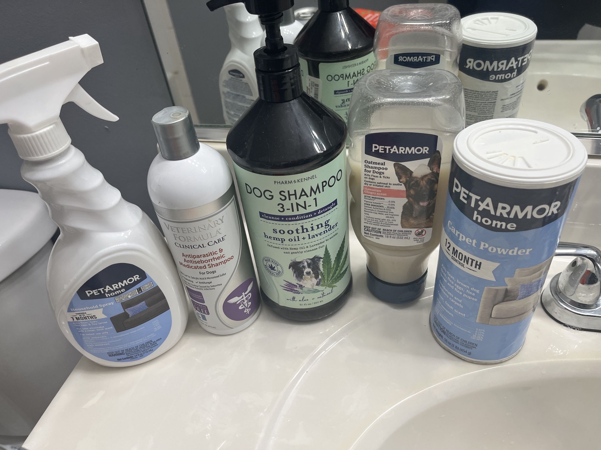 dog items