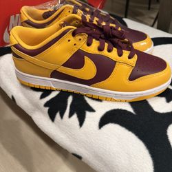 Men’s Size 11 Low Dunk Arizona State Colorway