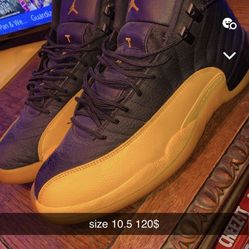 jordan 12 