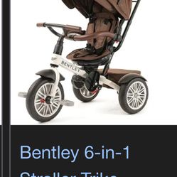 Bentley 6 in 1 Stroller / Trike 