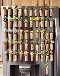 Succulent Cork Magnets