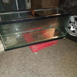 50 Gallon Aquarium tank only : 36 3/8 x 18 3/8 x 19