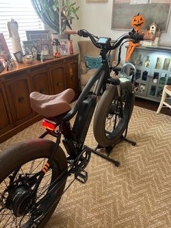 Rad Power Bikes Radrover Electric Fat Bike