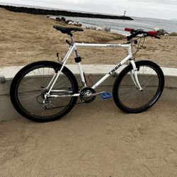 Vintage Trek 950 Single Track!!