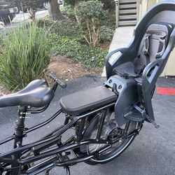 Electric Bike RadRunner Plus