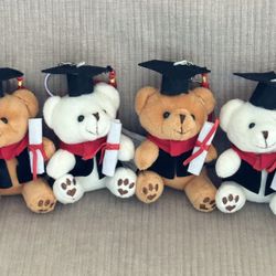Peluches Para Graduación