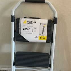 2 Step Ladder 