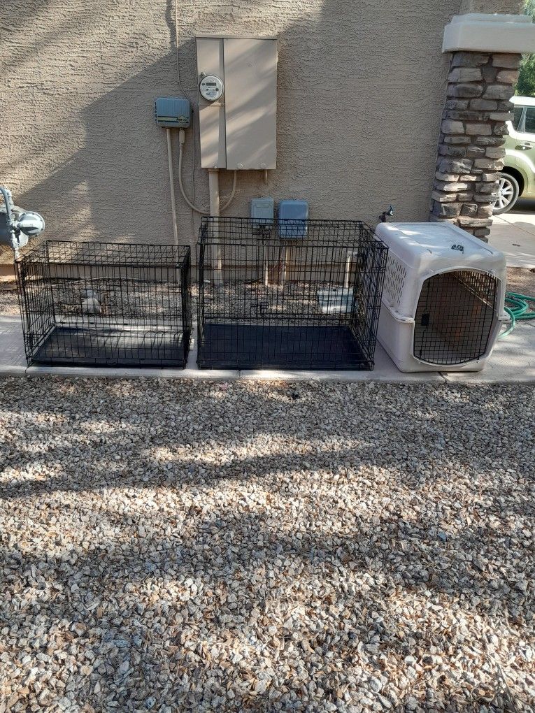 Large Or X-Large Metal Dog Kennel Or Wire Crates $35-$55 Each See All Photos
