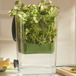 Princess House recipiente Para cilantro 