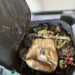 Worm compost bin With Worms And Compost Tea