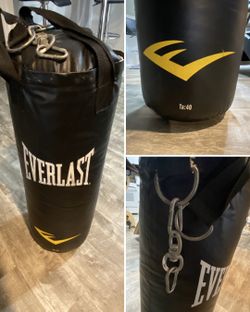 Everlast Punching Bag