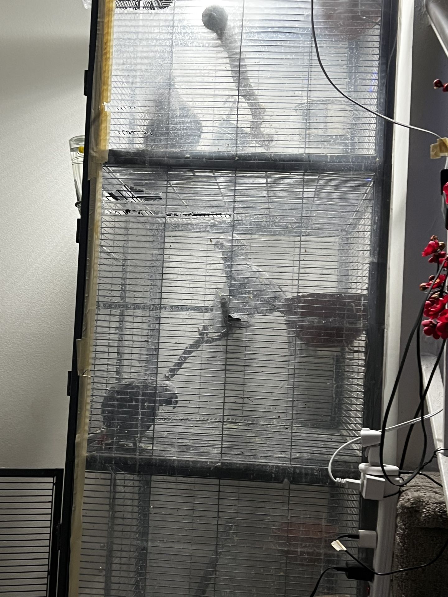 Large Cage For Your Pet