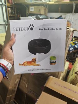 Dog Bowl