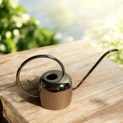 Small Beautiful Stainless Steel Watering Can 9.25 Inches Wide 