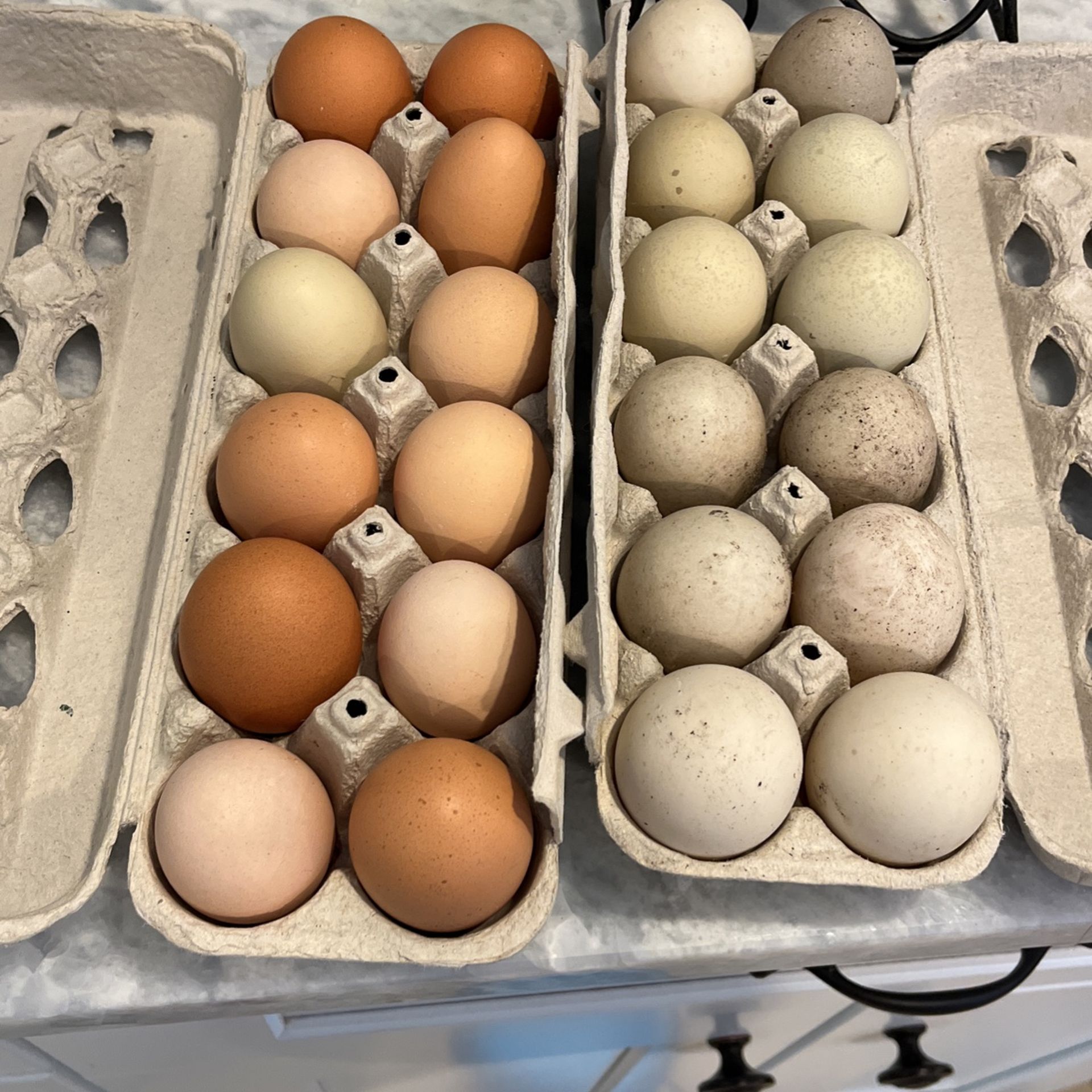 EGGS!! Organic