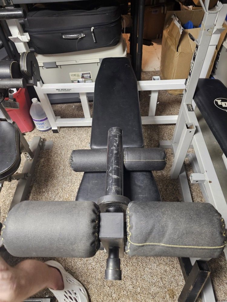 Well Build Weight Bench Stable